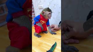 I don't play this game, Lili the smart monkey🙈🙉😭