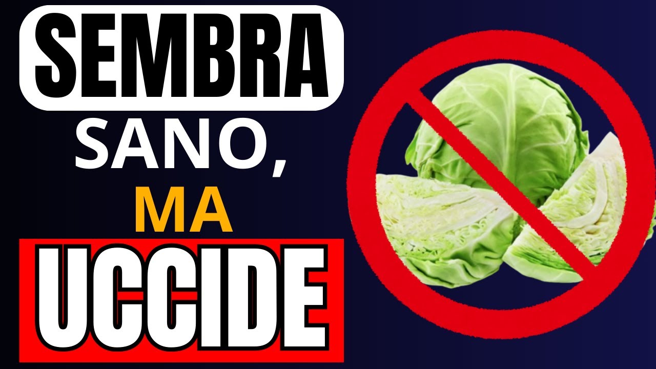 Le 4 Verdure "Sane" che Distruggono i Reni (E le 4 che li Salvano ...