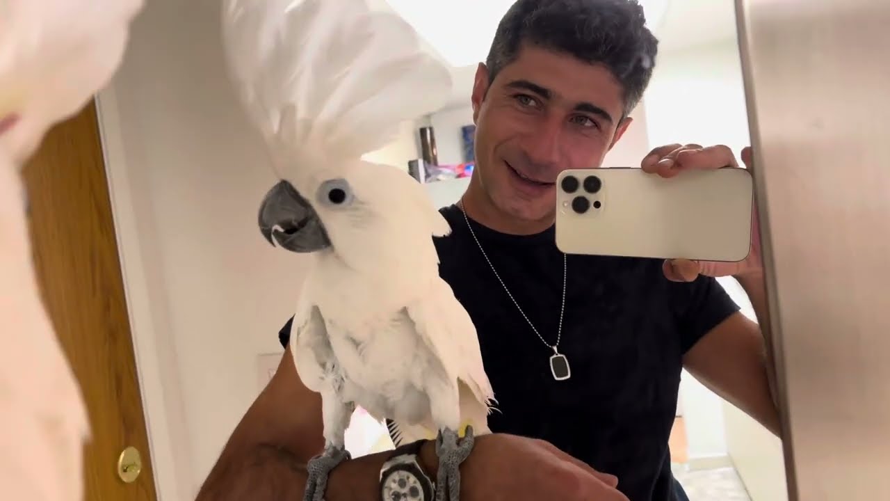 Walking and looking around 😂