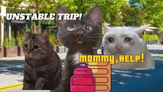 CAT MEMES: FAMILY ROADTRIP COMPILATION