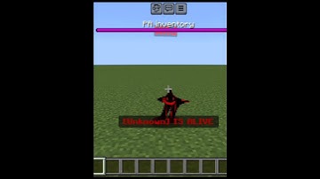 Unknown Entity vs Unknown Mob