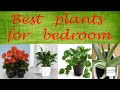 12 Plants to keep in your bedroom for better sleep|Best plants for bedroom|Gorgeous You|
