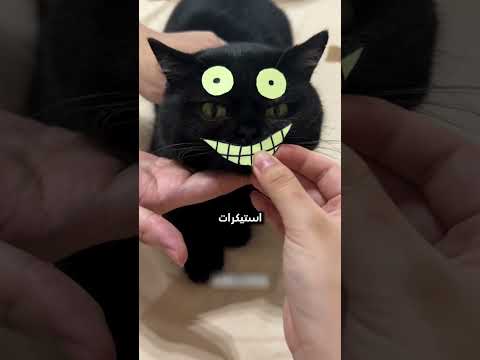 القطوة الشبح 