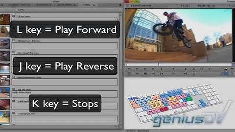 Avid Media Composer Bin Window