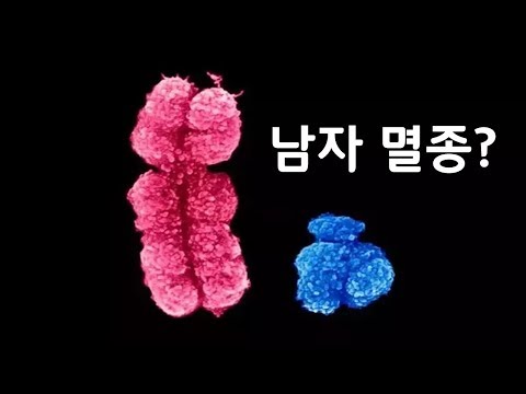 Y염색체의 퇴화...남자는 결국 멸종 되는걸까? [신박과학]