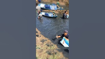 Crayfish vietnamese | Cách bắt tôm CÀNG XANH cực dễ Ở MIỀN TÂY #tomcanhxanh #crayfish