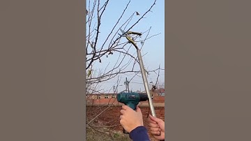 New model cutting to the branches||How to cutting the tree branches|| More interesting video||