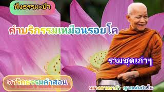 ฟังธรรมะป่า//คำบริกรรมเหมือนรอยโค//หลวงตามหาบัว ญาณสัมปันโน