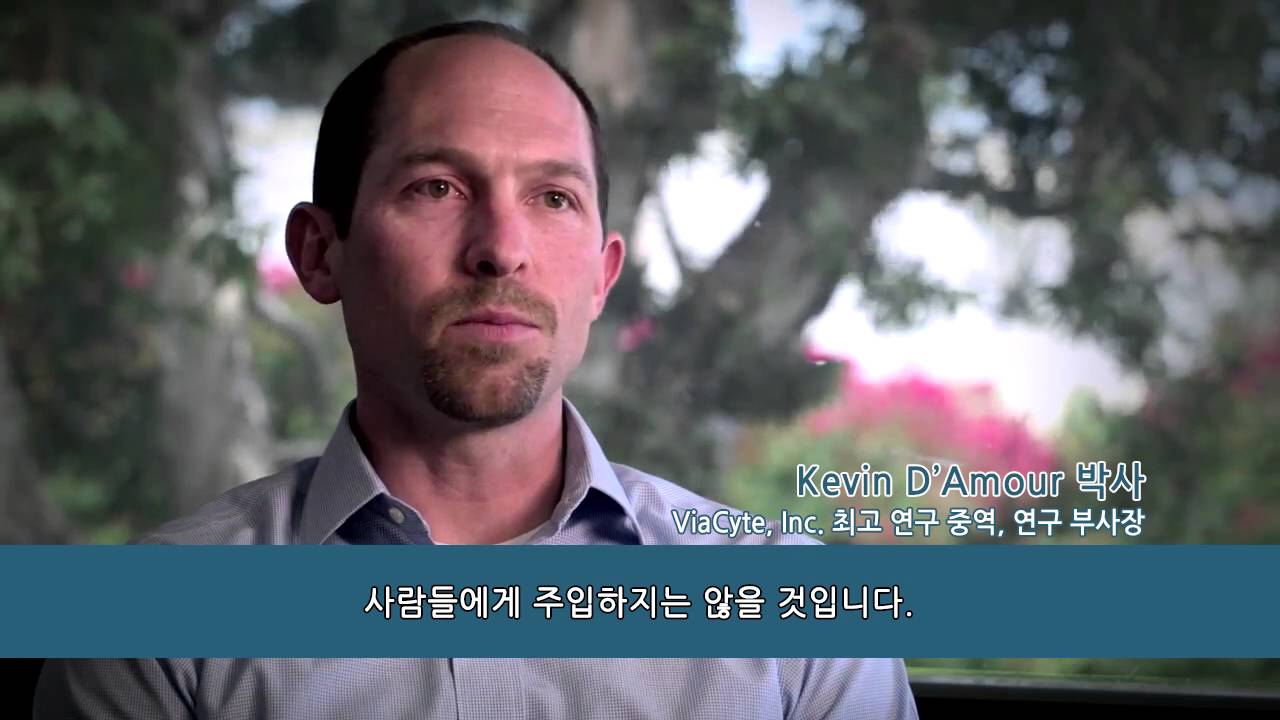 Benefits of Documentation in Cell Therapy Development