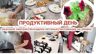 Еженедельная уборка/ началась дача/ вкусно готовлю/ домашние дела