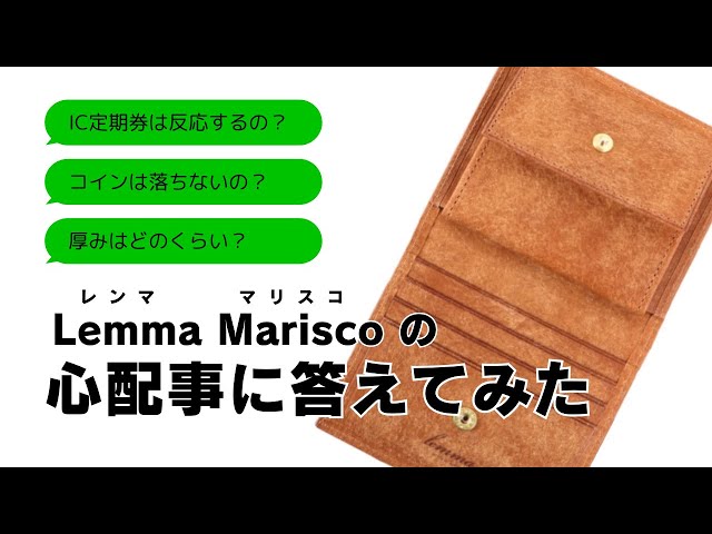 Lemma's popular compact wallet 