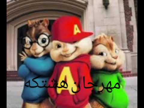 مهرجان هشتكه ولع قلبي لما شافها ولع بصوت السناجب