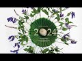2024韶華的印記｜在植物的世界裡，週週都美好優雅
