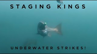 How we catch STAGING KINGS  EPIC UNDERWATER STRIKES! |  The Energy Powersports Series