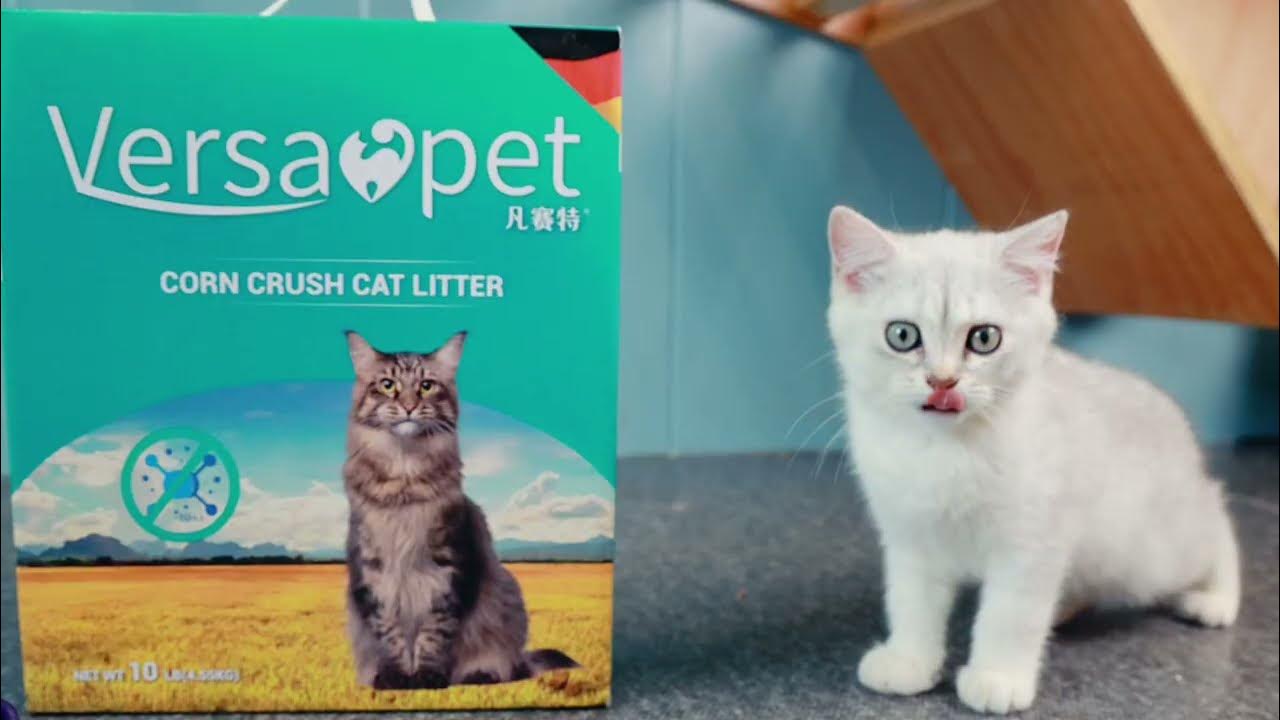 Versapet Millet Cat Litter Lovepet Cat Litter Factory YouTube