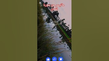 ماتيسر من سورة لقمان #القران_الكريم #اكسبلور #دويتو #تيك_توك #duet #ترند #لايك #راحة_نفسية #لايك