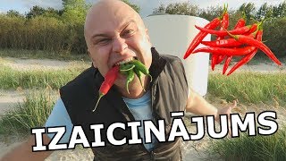 ČILLI PIPARU IZAICINĀJUMS Resimi