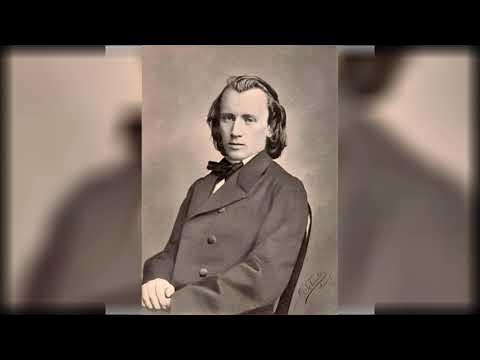 И. Autistic famous people. Иоганнес брамс 1876. Брамс композитор. Иоганнес брамс фото.