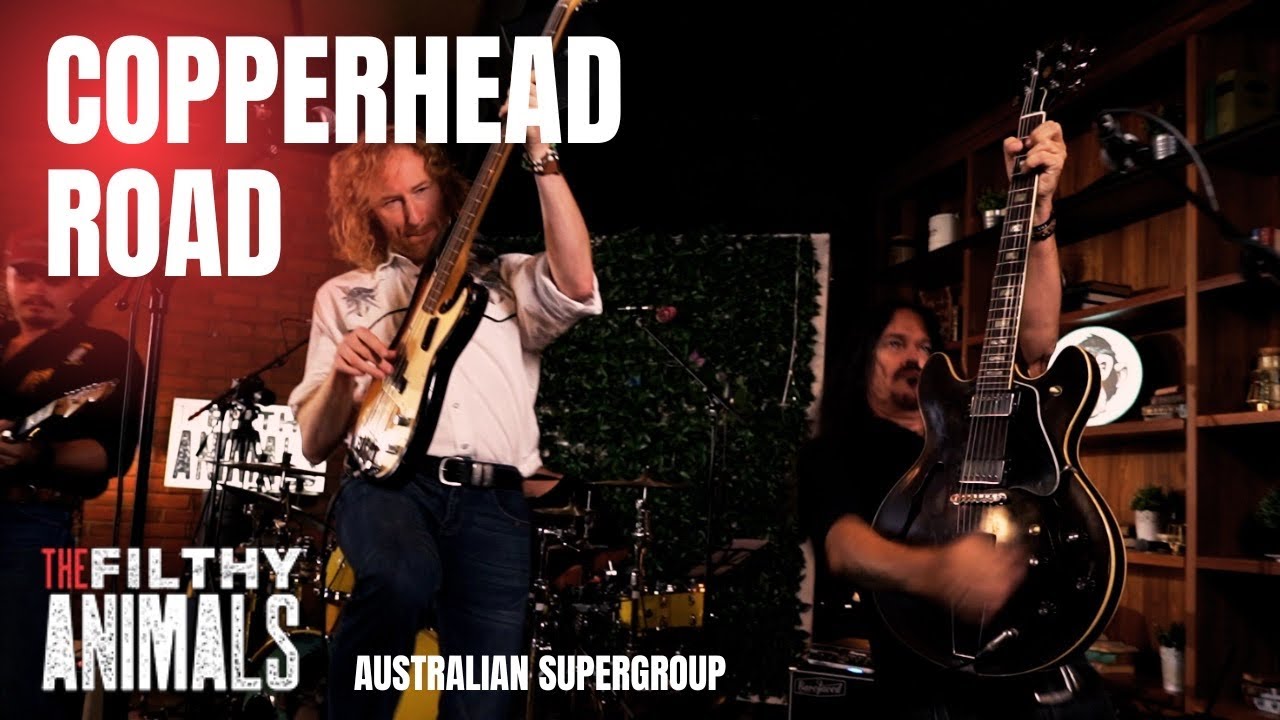 Copperhead Road - STEVE EARLE cover by The Filthy Animals