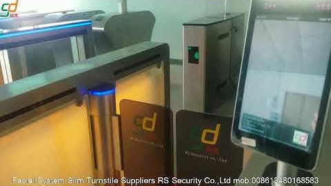 Servo Motor Glass Turnstile Barrier Remote Control Swing Turnstile Design-RS Security Co.,Ltd