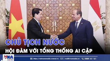 Chủ tịch nước Lương Cường hội đàm với Tổng thống Ai Cập - VNAMedia