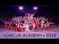 Show «Circus Academy» 2018