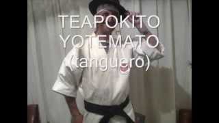 Teapokito Yotemato Tanguero narigon De Don Bosco