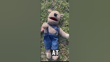 Day:46!of me shouting out MrBeast until I get 10k Subscribers  #comment #puppet #fup #mrbeast #10k