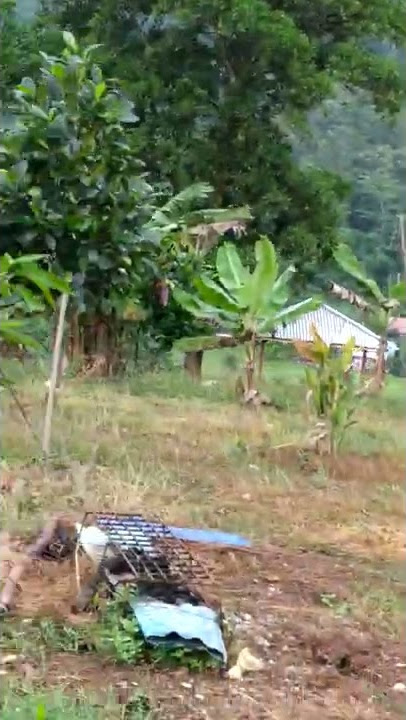 STORY WA NGOPI DI PUNCAK