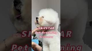 🏠 DIY At-Home Dog Grooming | Get Salon-Beautiful Dog Look With Easy-To-Use Scissors 🐾