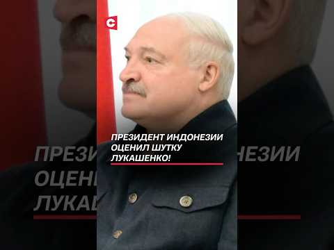 Президент Индонезии оценил шутку Лукашенко! #лукашенко #индонезия #новости #политика #батька