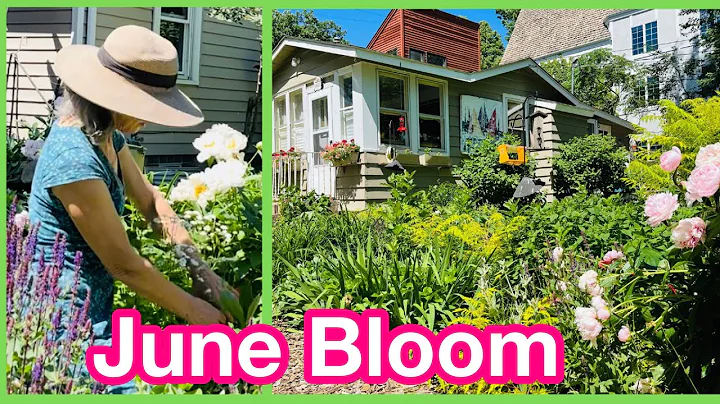 Tiny House June Cottage Garden Tour (sun & shade) | Bonus Gardening Tips and Making a Bouquet! - DayDayNews