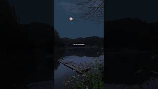 Madison Beer - Reckless #shorts #lyrics #madisonbeer #reckless Net Worth