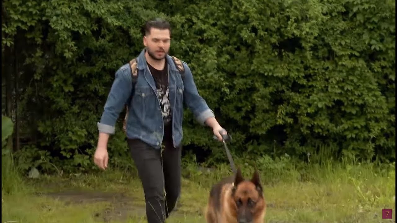 Chciał uprowadzić psa i... został przyłapany! [Szkoła odc. 746]