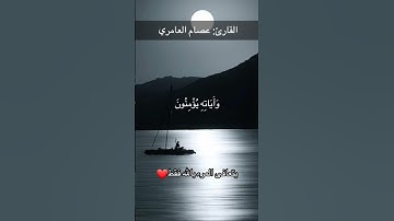 تلاوة قصيرة وخاشعة للقارئ عصام العامري