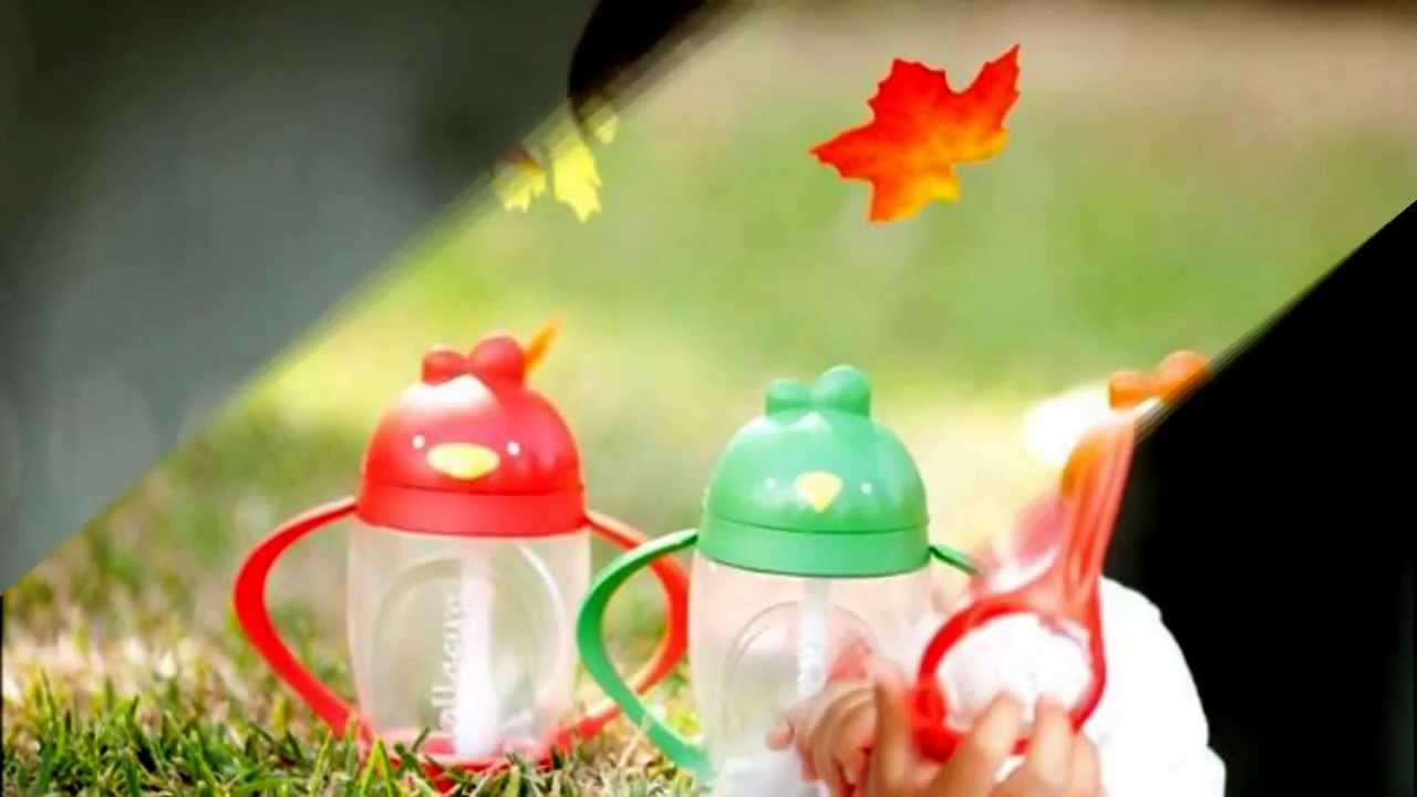 Lollacup Infant Toddler Straw Cup Lollacup Infant Toddler Straw Cup