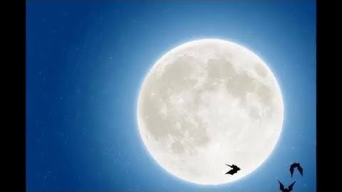 سورة الفرقان بالمقام اللامي - المبدع محمد الغزالي