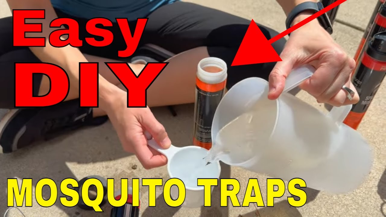 Mole Control: DIY Trap Construction