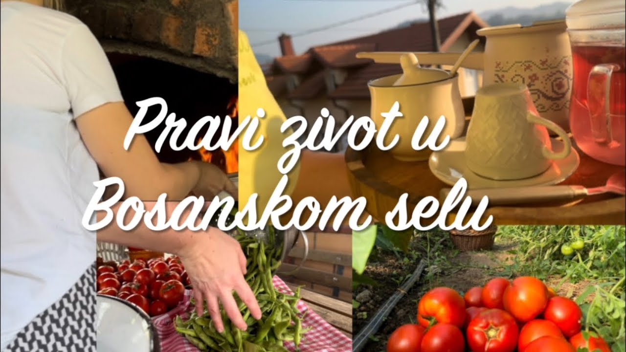 Pravi život u Bosanskom selu🍀Priprema paradajz paste/berba plodova/Uradi sve malo po malo/vlog