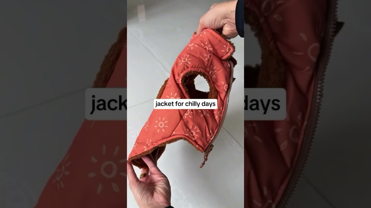 Spring is here! 🌸 It’s the perfect time to refresh your pup’s walk wardrobe and get ready for all