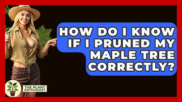 How Do I Know If I Pruned My Maple Tree Correctly? - The Plant Enthusiast