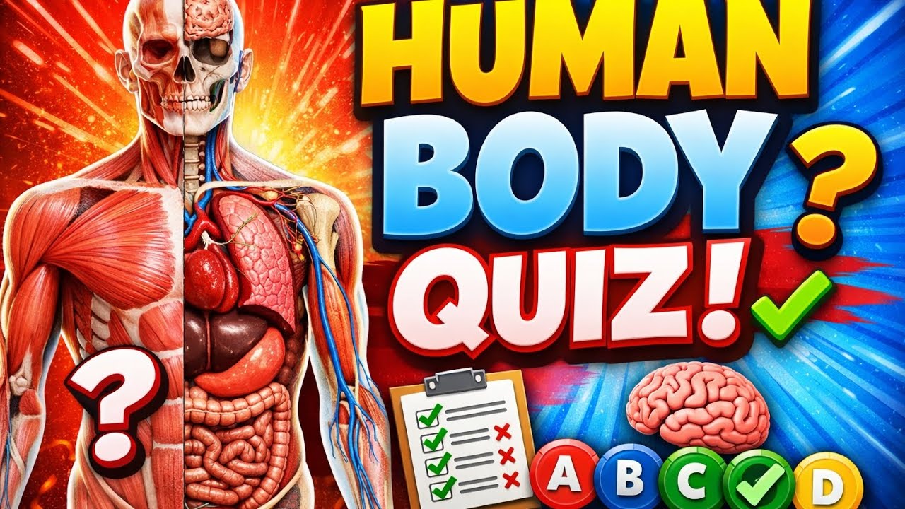 Human Body Quiz | Test Your Knowledge of the Human Body! - YouTube