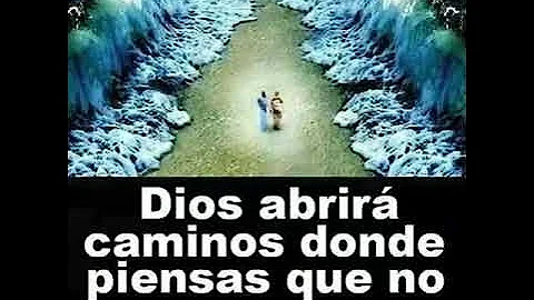 Sandy acevedo