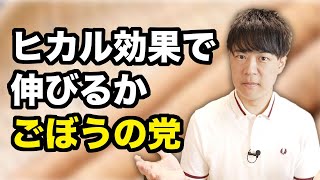 突如現れた「ごぼうの党」ってなんだ？【参院選公示】