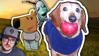 видео: ЧТО ЗА МЕМЫ? ► ЧИЛОВЫЙ ПАРЕНЬ, СОБАКА С ЯБЛОКОМ 🍎, ПЛАНКТОН АААА 😩 — ОТКУДА МЕМ? - Небуди | Реакция картинка: ЧТО ЗА МЕМЫ? ► ЧИЛОВЫЙ ПАРЕНЬ, СОБАКА С ЯБЛОКОМ 🍎, ПЛАНКТОН АААА 😩 — ОТКУДА МЕМ? - Небуди | Реакция