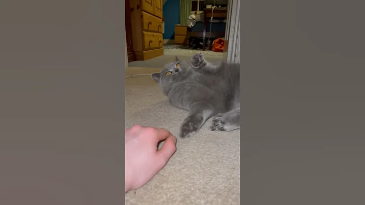 Watch the video about Upside Down Spicy Blue Meatball