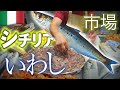 イタリア(8) 🇮🇹シラクサの市場で新鮮イワシ🐟暮らすように旅する海外/ 50代60代 / シニア旅行