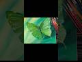 how to draw a butterfly step by step🦋❤️ how to draw a beautiful butterfly! #ytshorts #shorts #viral