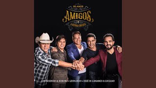 Download Lagu Pão de Mel MP3 Download Lagu Pão de Mel MP3