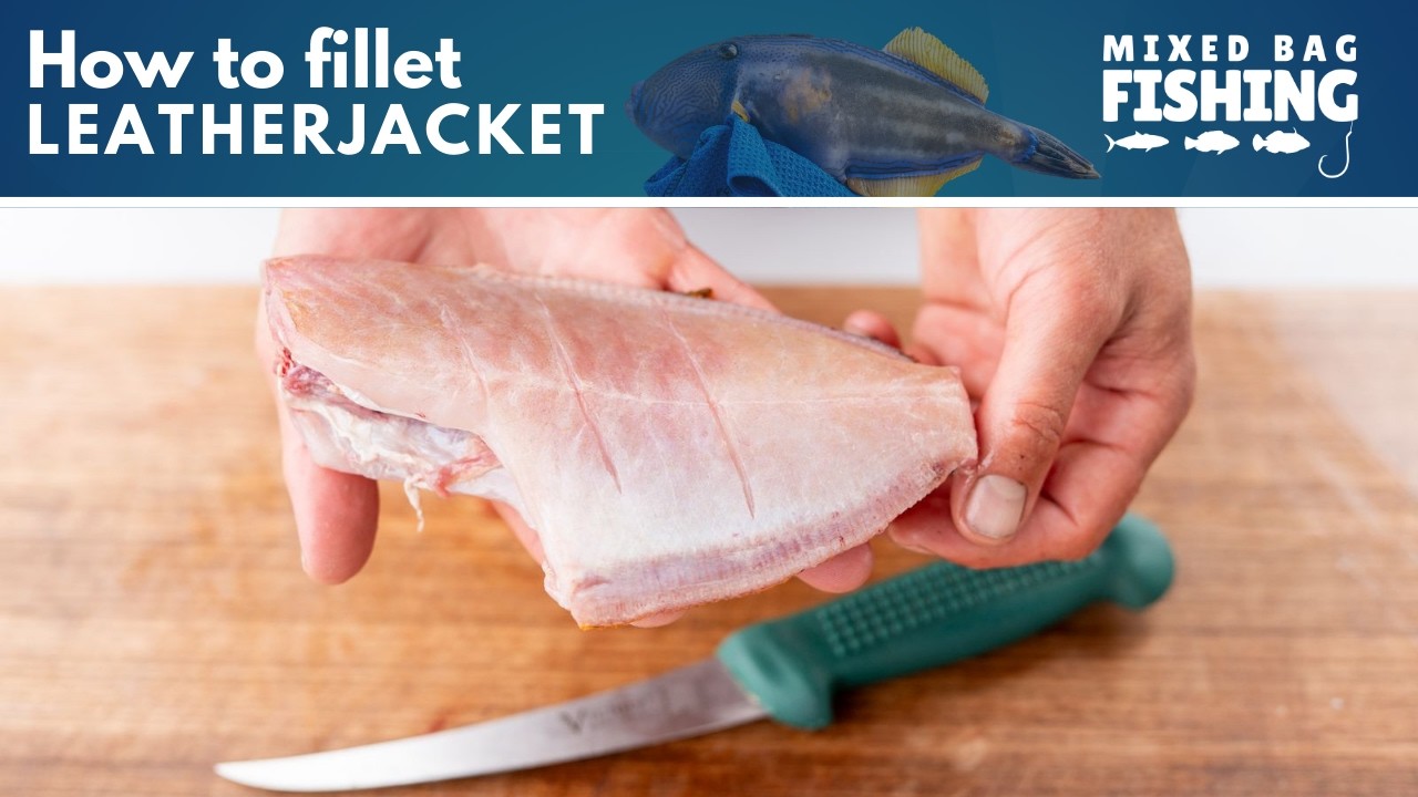 Fillet Leatherjacket like a pro